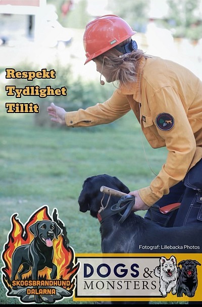 Team Yimba & Josefin under en uppvisning - Dr&ouml;mjakt 2024