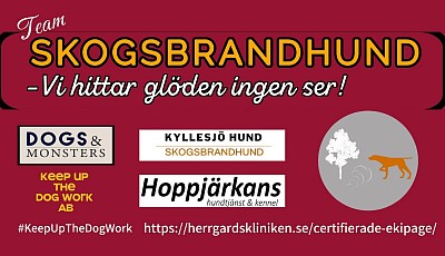 Skogsbrandhund Dalarna ing&aring;r i nationella Team Skogsbrandhund