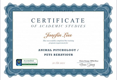 Animal Psychology/Pets Behaviour Course Diploma