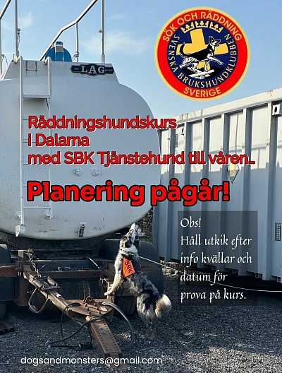 SBK Räddningshund - Kurs planeras i Dalarna till våren 2026