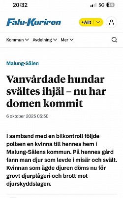 3 av hundarna som var kvar, lyckades vi omplacera till bra hem.