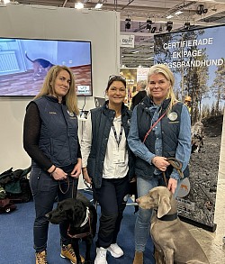 Mässdeltagande med Team Skogsbrandhund