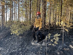 Team Yimba & Josefin - Skogsbrandhund Dalarna